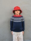2509-2 Mariusgenser junior (ovenfra og ned) oppskrift thumbnail
