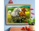 Diamond Painting Horses in the meadow 50x40cm AM1766 thumbnail