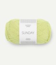 9523 Sunday Lime Punch  thumbnail