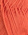 371-11 Junetopp Petunia orange thumbnail