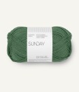  Sunday Elm Green 8073 thumbnail