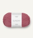 4343 Sunday BRINGEBÆRSORBET  thumbnail