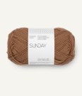 Sunday Pecan Brown 3052 thumbnail