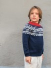 2509-2 Mariusgenser junior (ovenfra og ned) oppskrift thumbnail