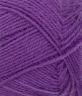  Sunday Plum 5045 thumbnail