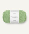 8733 Sunday SPRING GREEN  thumbnail