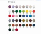 Petunia farger 2020 thumbnail