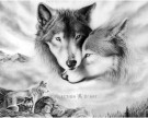 Diamond Painting Wolfish love / Ulvekjærlighet 48x38cm DE410 thumbnail