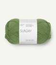  Sunday Vineyard green 8753 thumbnail