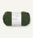 Atlas Dark Forest Green 8571 thumbnail