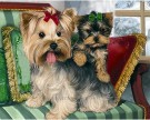 Diamond Paintings Yorkshire terriers 48x38cm DE489 thumbnail