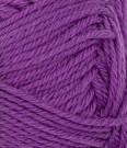 Double Sunday Plum 5045 thumbnail