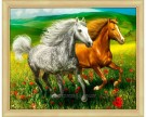 Diamond Painting Horses in the meadow 50x40cm AM1766 thumbnail