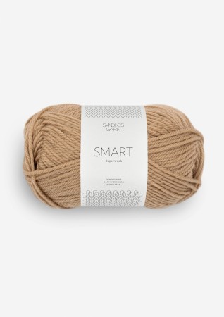 SMART CAMEL 2542