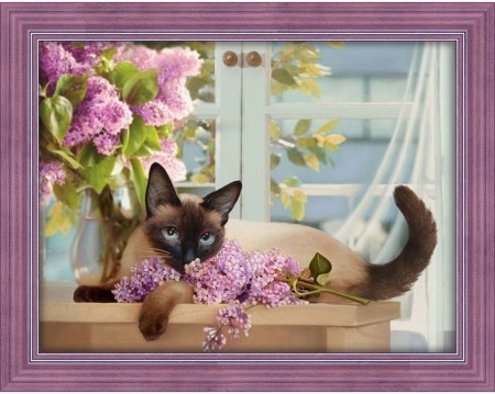 Siamese cat - Diamond Painting