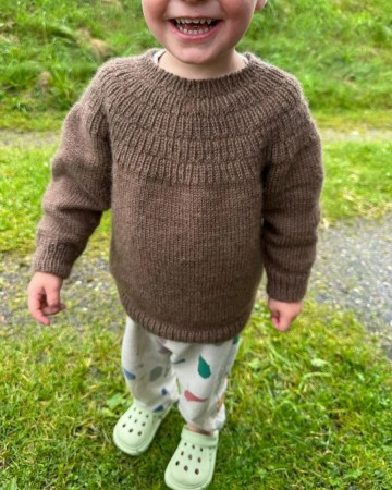 Ankers trøye (Oppskrift) Petite Knit
