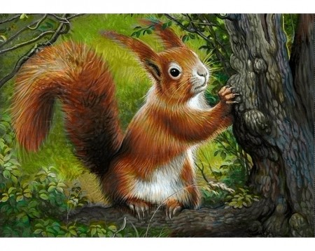 Forest squirrel - Diamond Painting 38X27CM DE7033