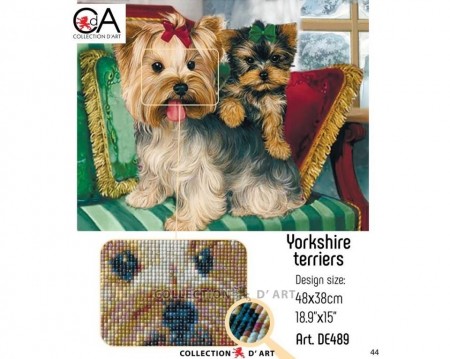 Diamond Paintings Yorkshire terriers 48x38cm DE489