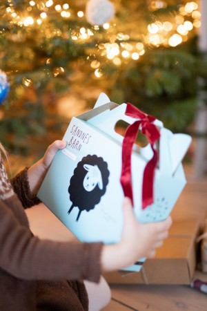 Barnas strikkepakke | Sandnes Garn 