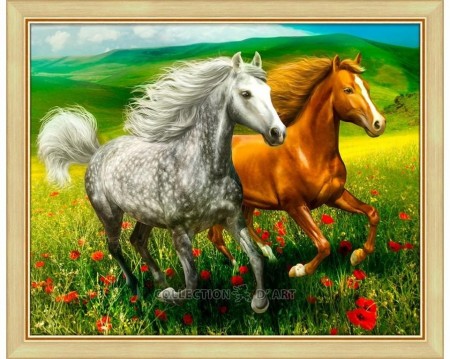 Diamond Painting Horses in the meadow 50x40cm AM1766