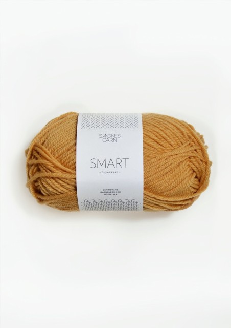 SMART RAVGUL 2324